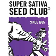 SUPER SATIVA SEEDS CLUB